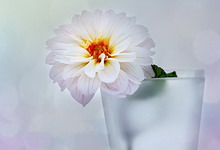 "Transform your photos with Ins Special Effects Camera!"